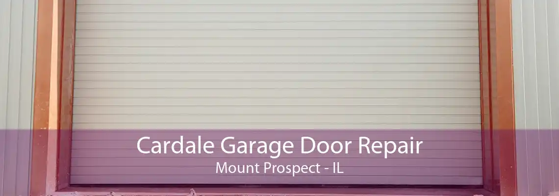 Cardale Garage Door Repair Mount Prospect - IL