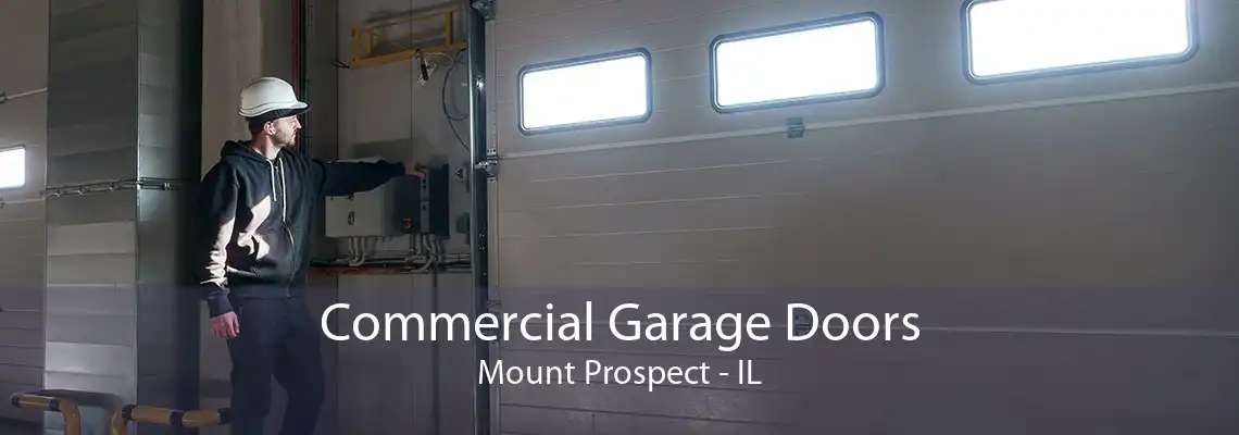 Commercial Garage Doors Mount Prospect - IL