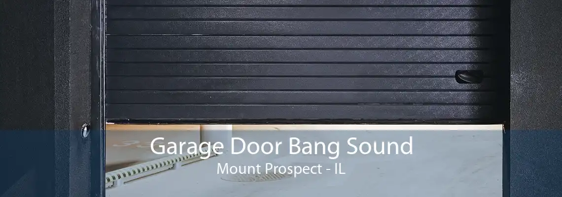 Garage Door Bang Sound Mount Prospect - IL