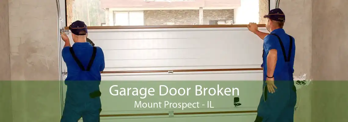 Garage Door Broken Mount Prospect - IL