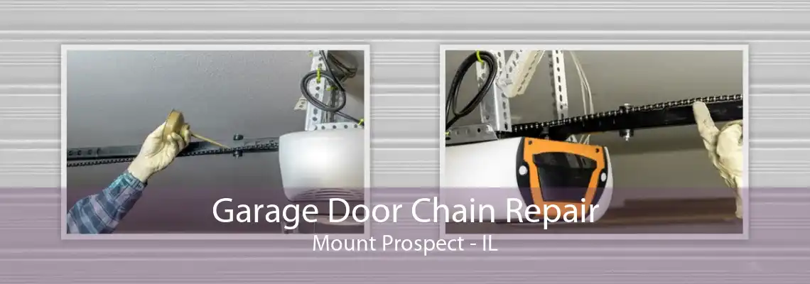 Garage Door Chain Repair Mount Prospect - IL