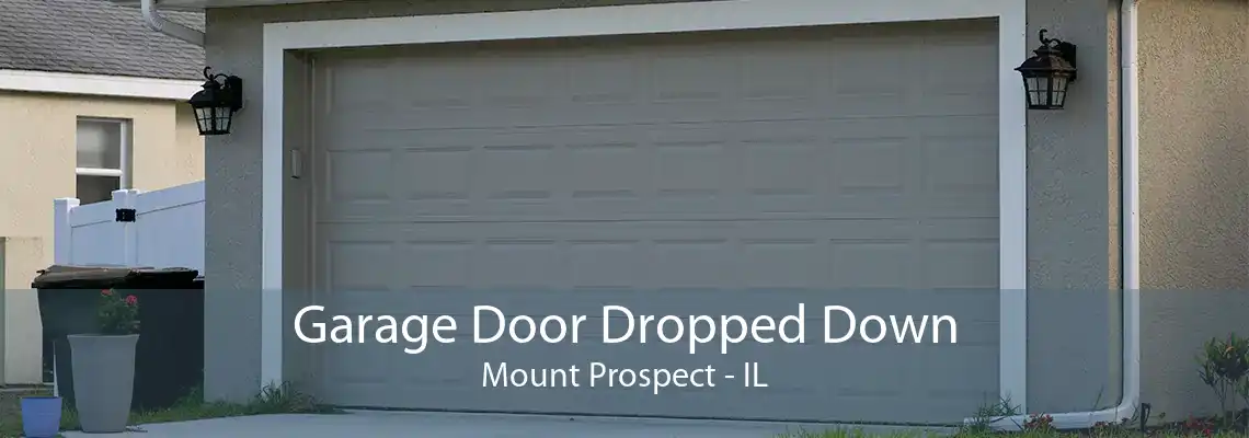 Garage Door Dropped Down Mount Prospect - IL