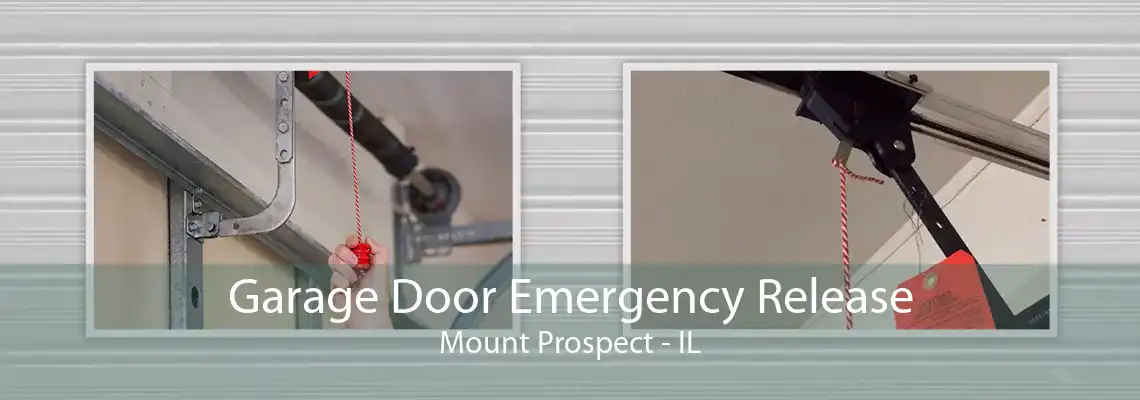 Garage Door Emergency Release Mount Prospect - IL