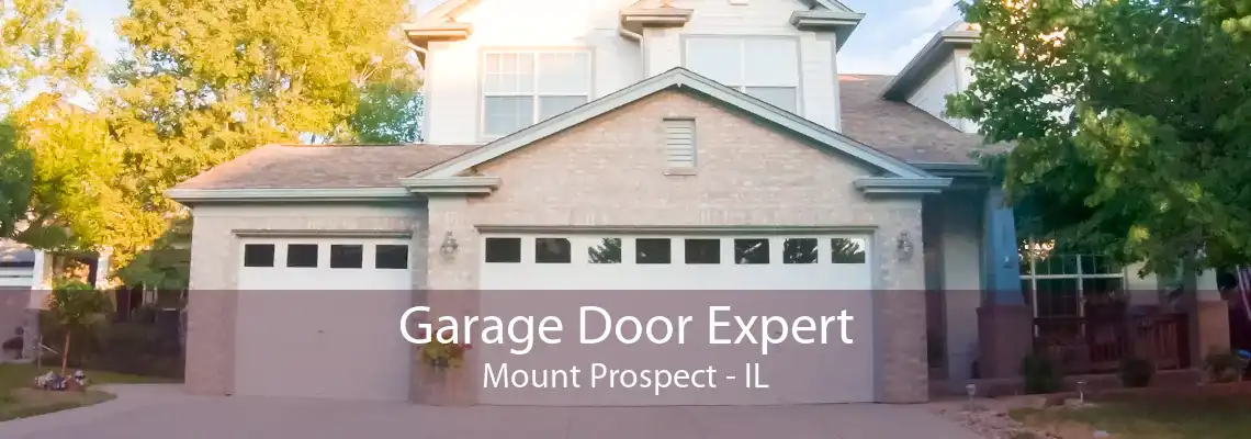 Garage Door Expert Mount Prospect - IL