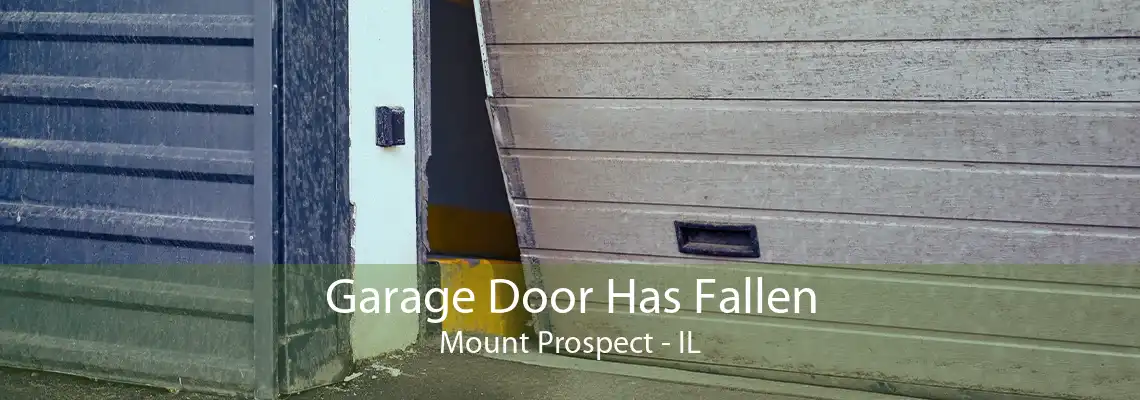 Garage Door Has Fallen Mount Prospect - IL