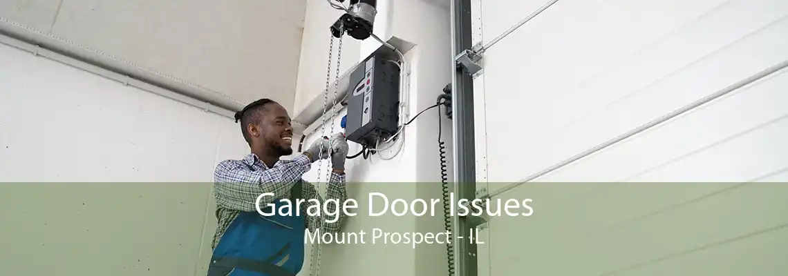 Garage Door Issues Mount Prospect - IL