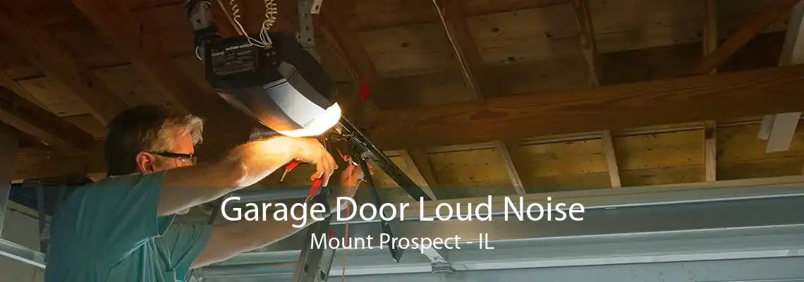 Garage Door Loud Noise Mount Prospect - IL