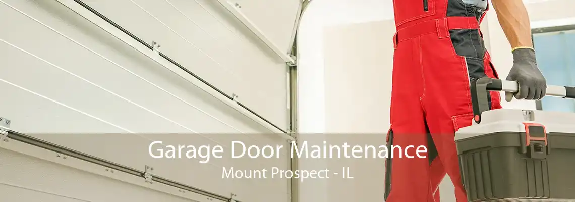 Garage Door Maintenance Mount Prospect - IL