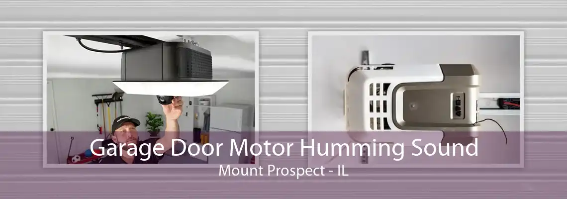 Garage Door Motor Humming Sound Mount Prospect - IL