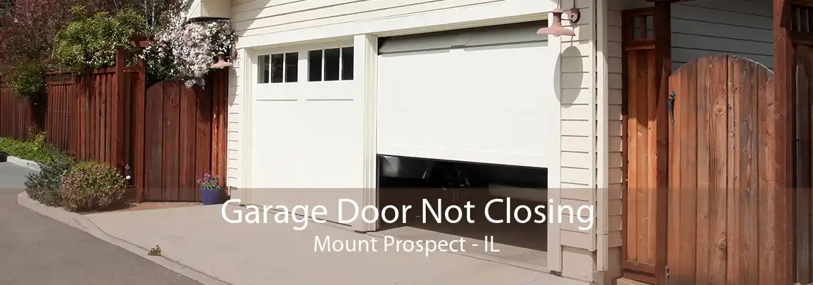 Garage Door Not Closing Mount Prospect - IL