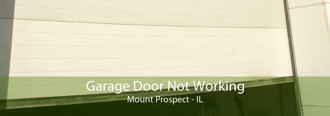 Garage Door Not Working Mount Prospect - IL