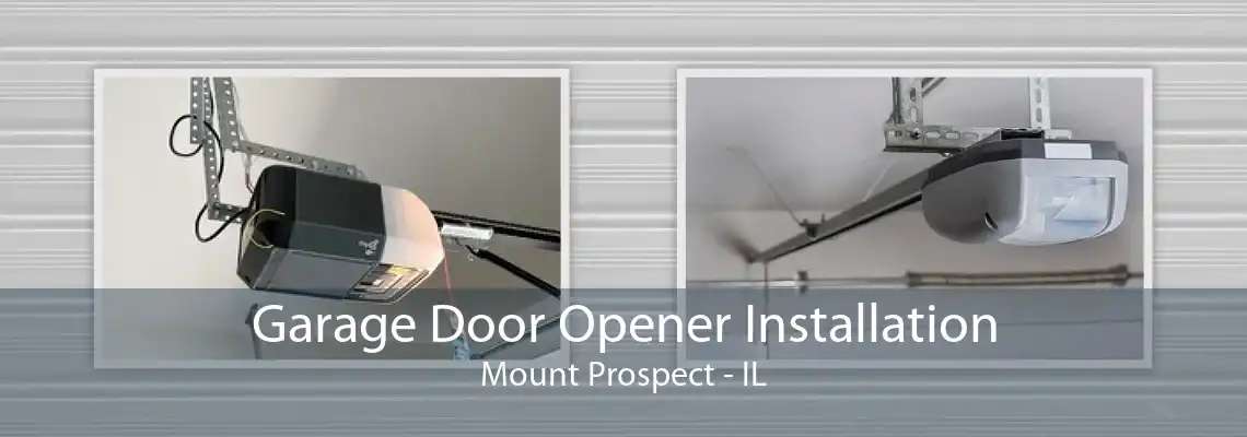 Garage Door Opener Installation Mount Prospect - IL