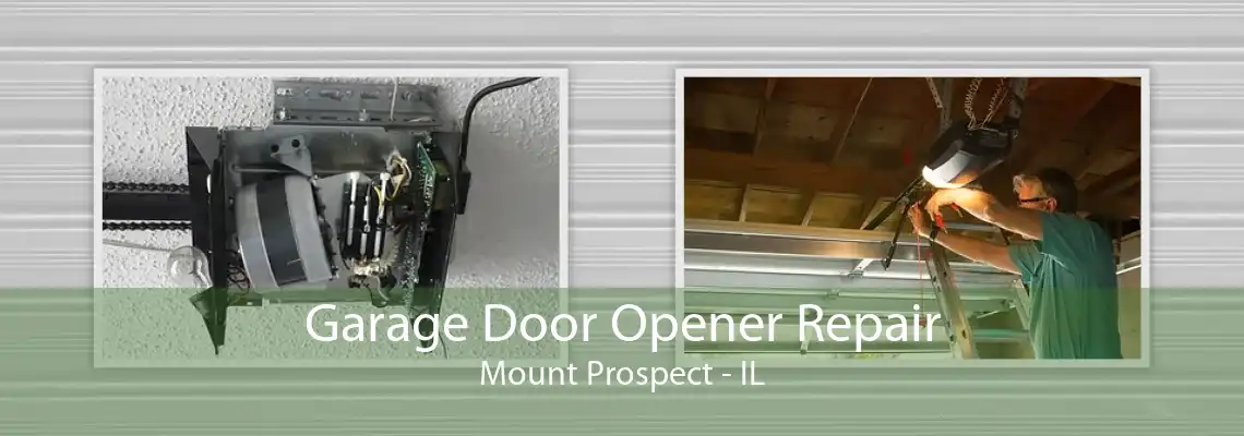 Garage Door Opener Repair Mount Prospect - IL