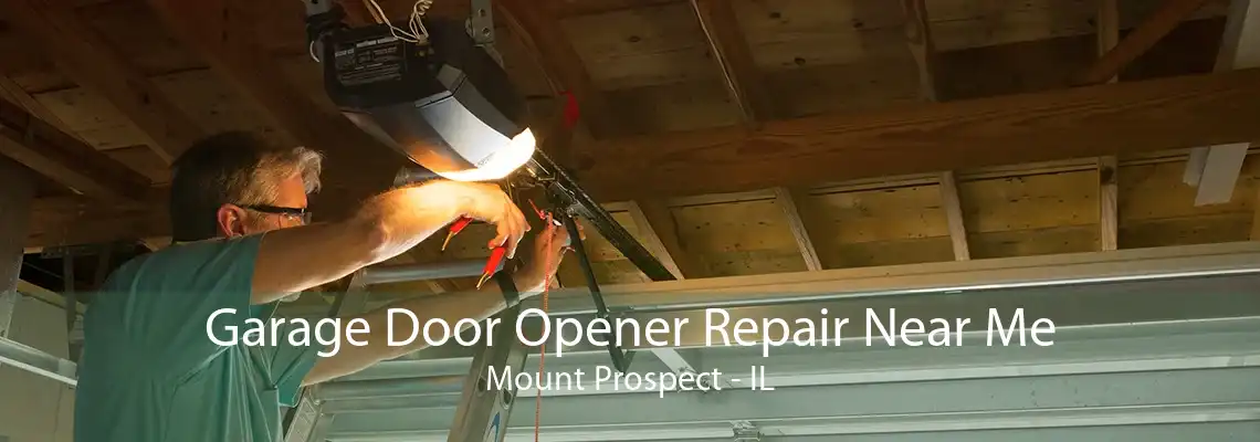 Garage Door Opener Repair Near Me Mount Prospect - IL