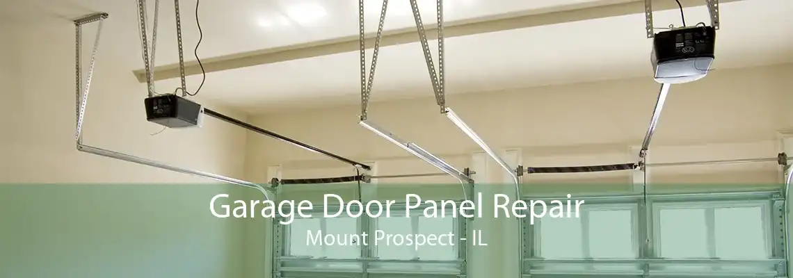 Garage Door Panel Repair Mount Prospect - IL