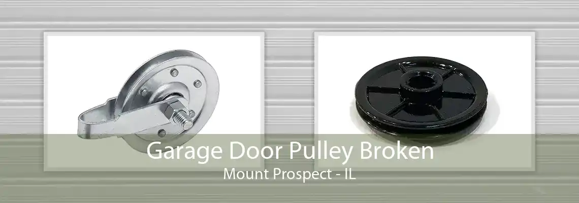 Garage Door Pulley Broken Mount Prospect - IL