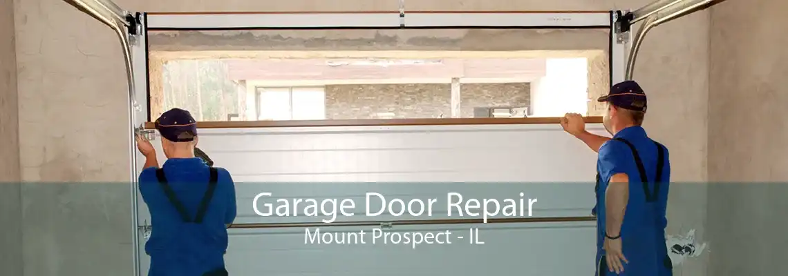 Garage Door Repair Mount Prospect - IL