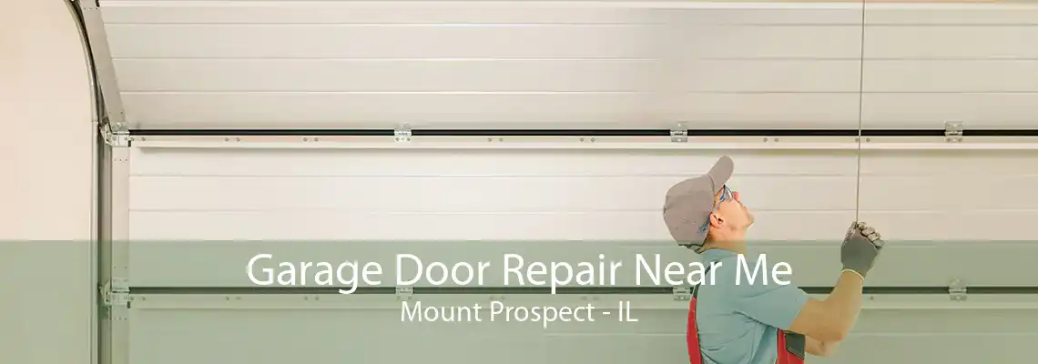 Garage Door Repair Near Me Mount Prospect - IL