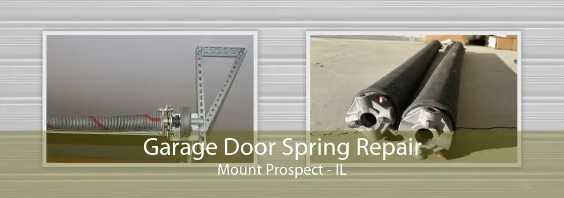 Garage Door Spring Repair Mount Prospect - IL