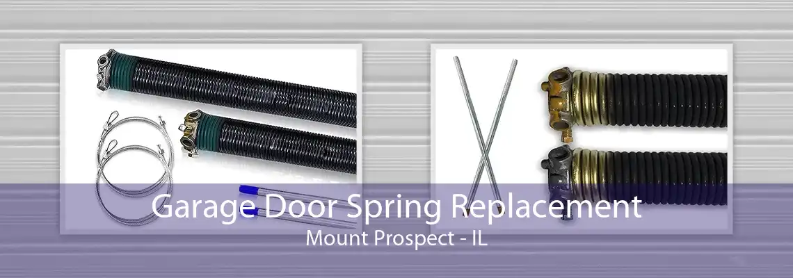 Garage Door Spring Replacement Mount Prospect - IL