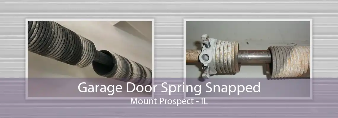 Garage Door Spring Snapped Mount Prospect - IL