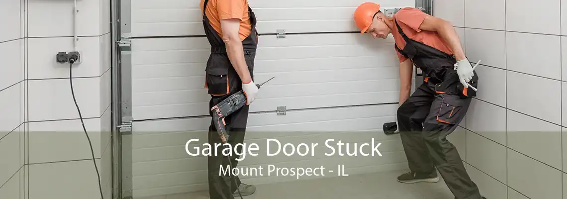 Garage Door Stuck Mount Prospect - IL