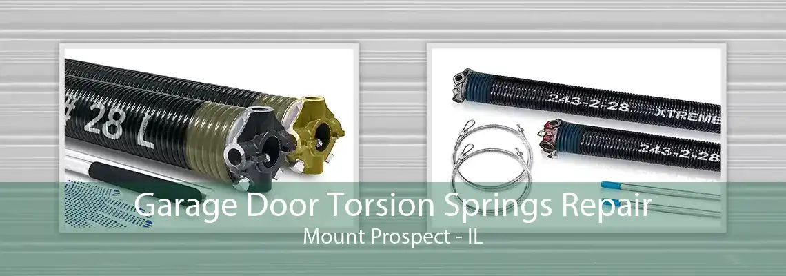 Garage Door Torsion Springs Repair Mount Prospect - IL