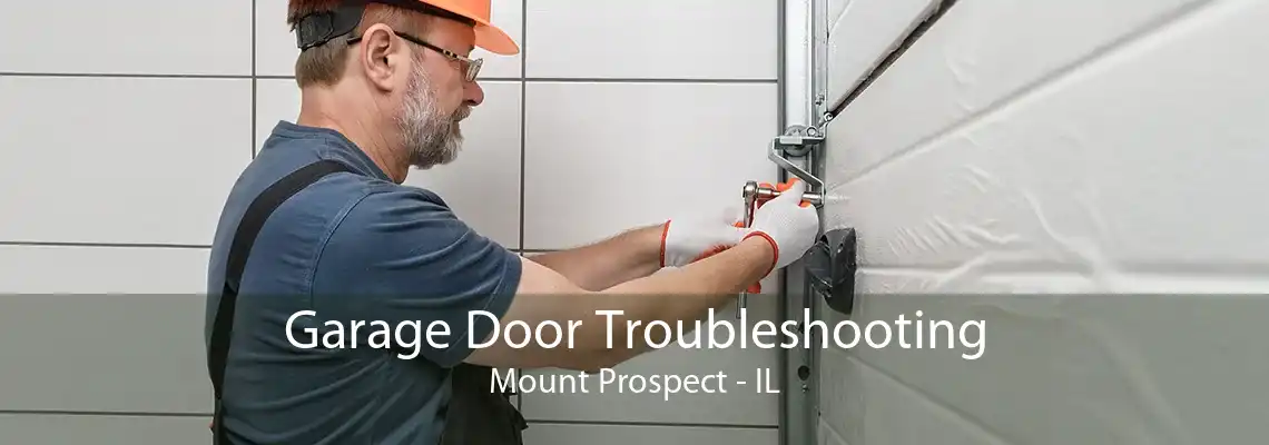 Garage Door Troubleshooting Mount Prospect - IL