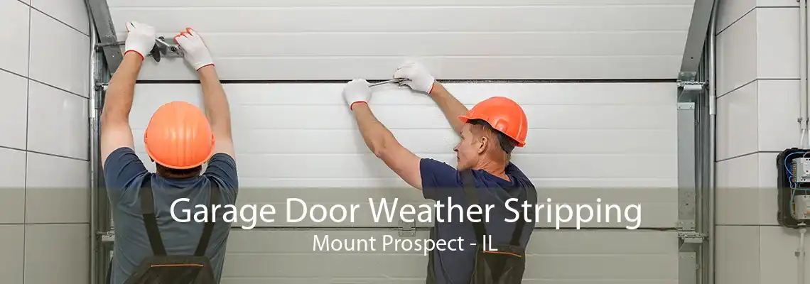 Garage Door Weather Stripping Mount Prospect - IL