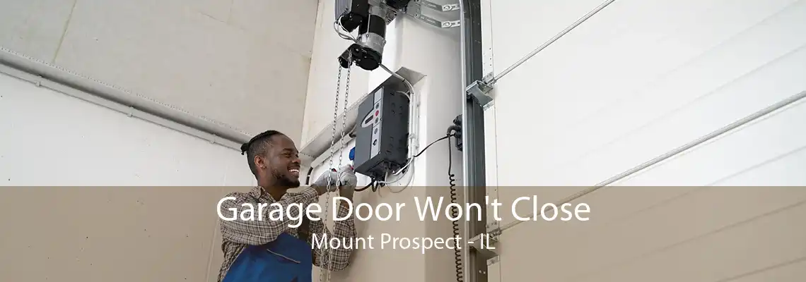 Garage Door Won't Close Mount Prospect - IL