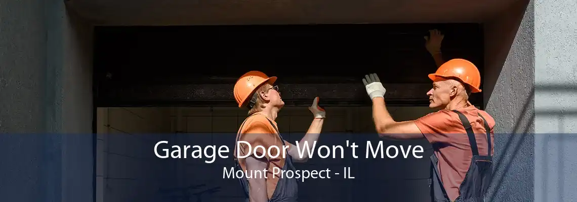 Garage Door Won't Move Mount Prospect - IL