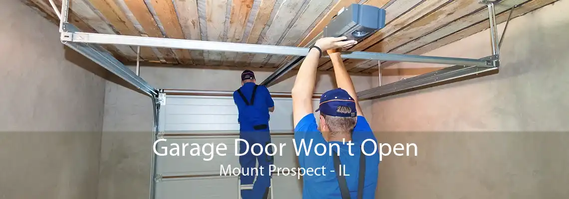 Garage Door Won't Open Mount Prospect - IL