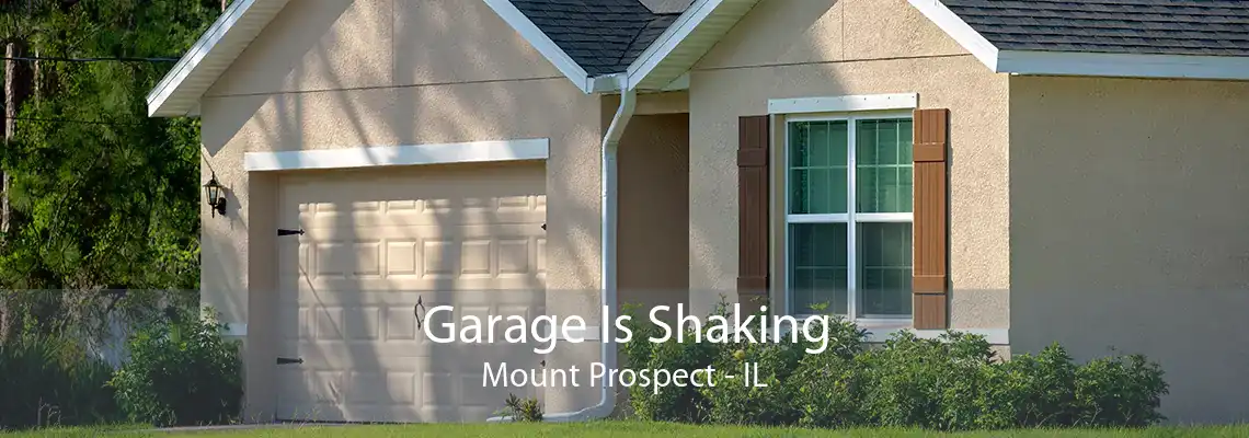 Garage Is Shaking Mount Prospect - IL