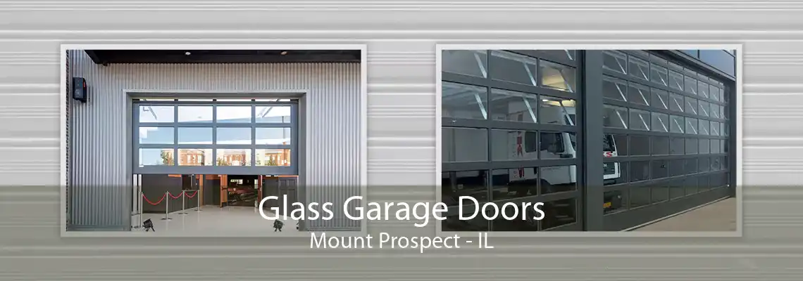 Glass Garage Doors Mount Prospect - IL