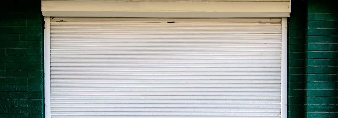 Rolling Steel Door Replacement in Mount Prospect, Illinois