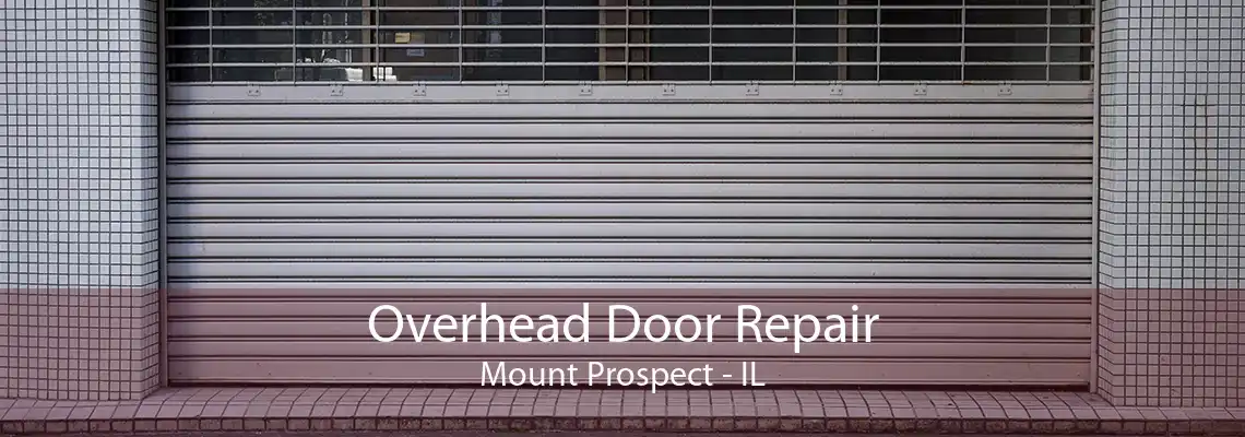 Overhead Door Repair Mount Prospect - IL