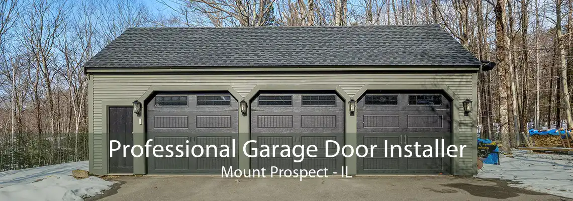 Professional Garage Door Installer Mount Prospect - IL