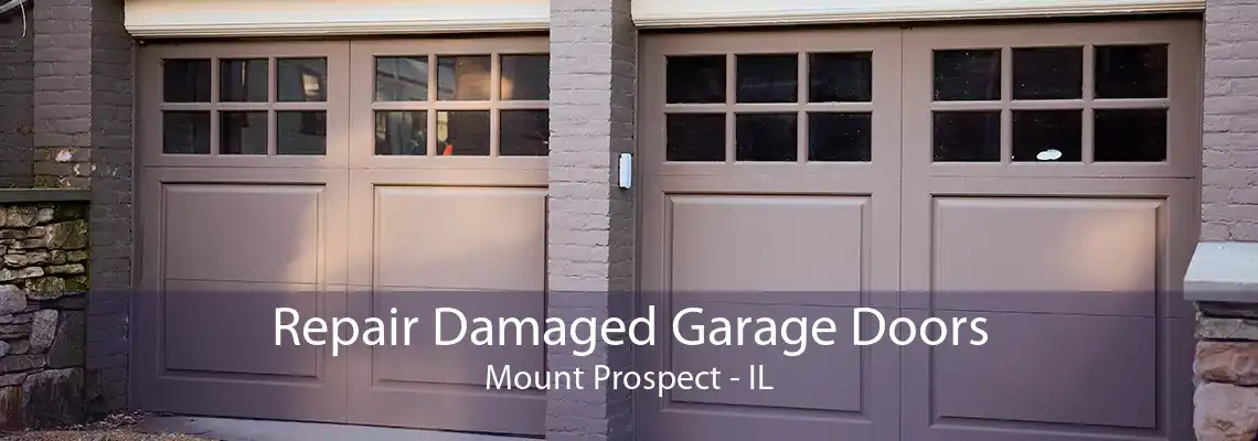 Repair Damaged Garage Doors Mount Prospect - IL