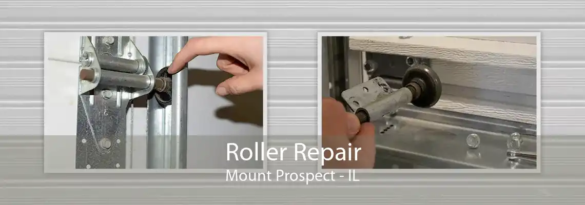 Roller Repair Mount Prospect - IL