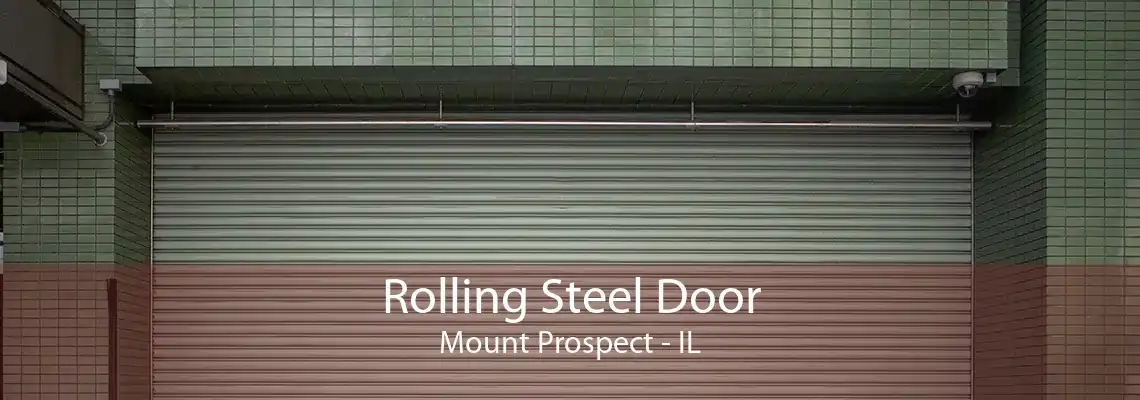 Rolling Steel Door Mount Prospect - IL