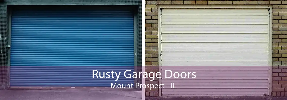 Rusty Garage Doors Mount Prospect - IL