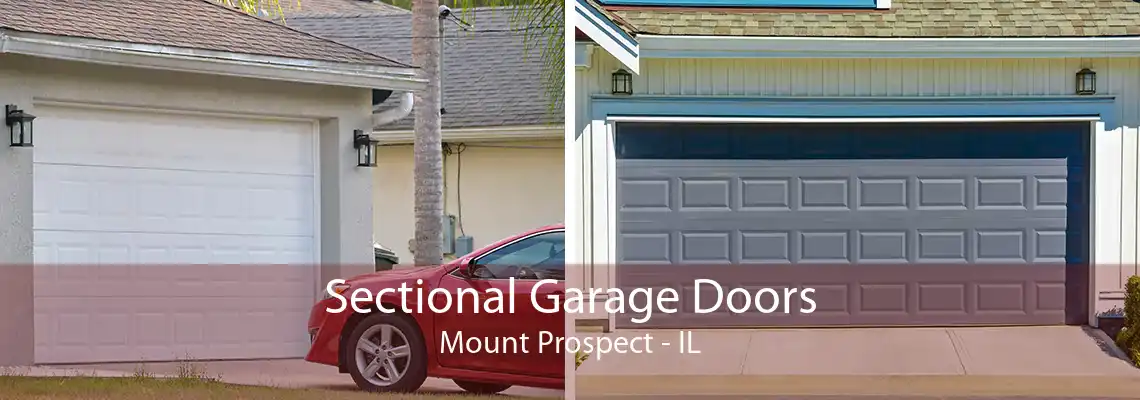 Sectional Garage Doors Mount Prospect - IL